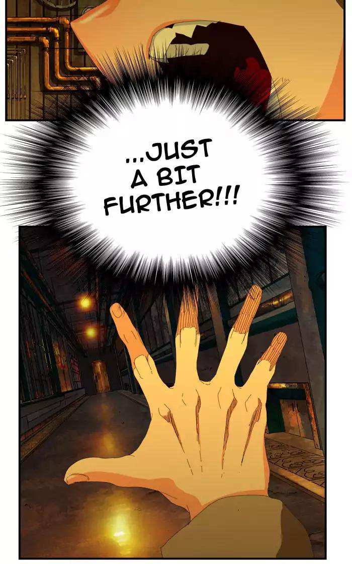 66
