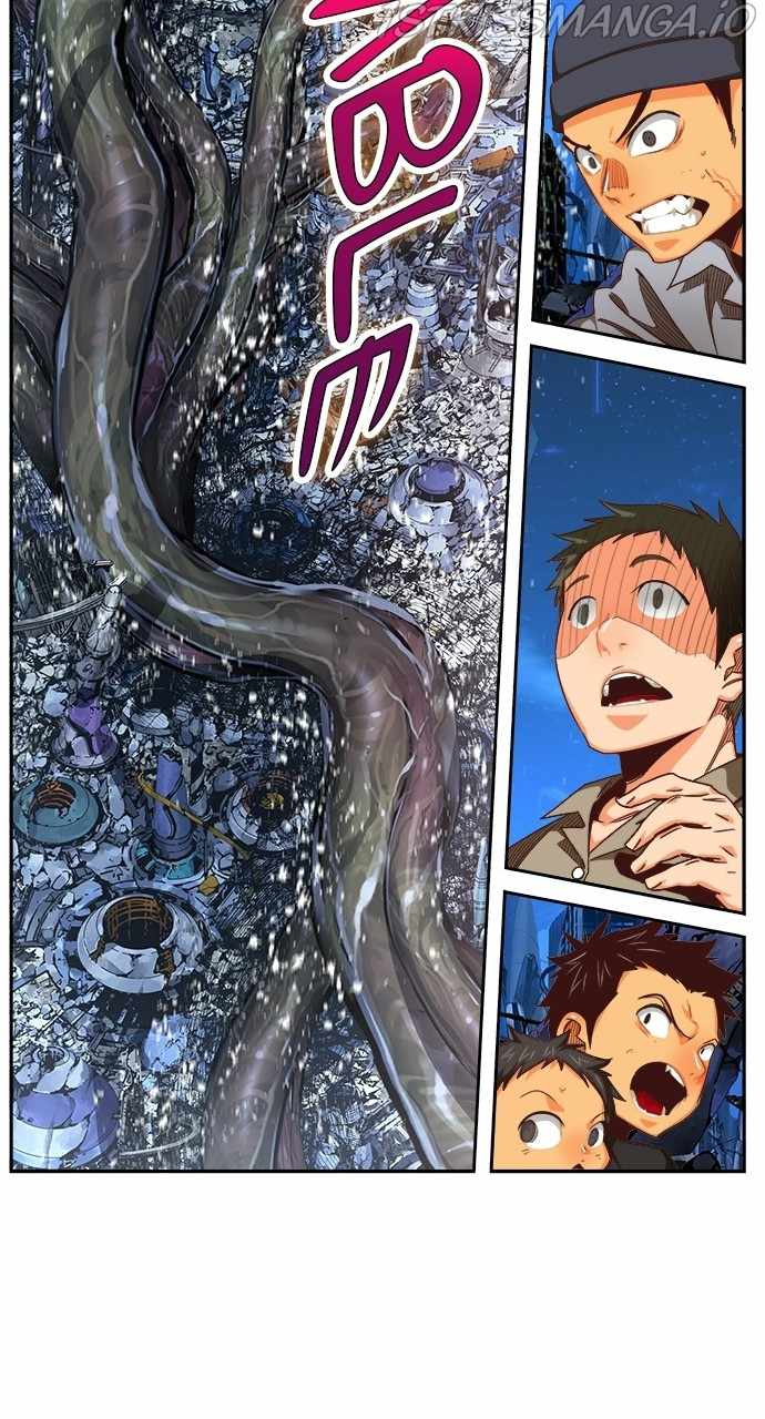 41