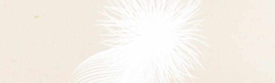 115