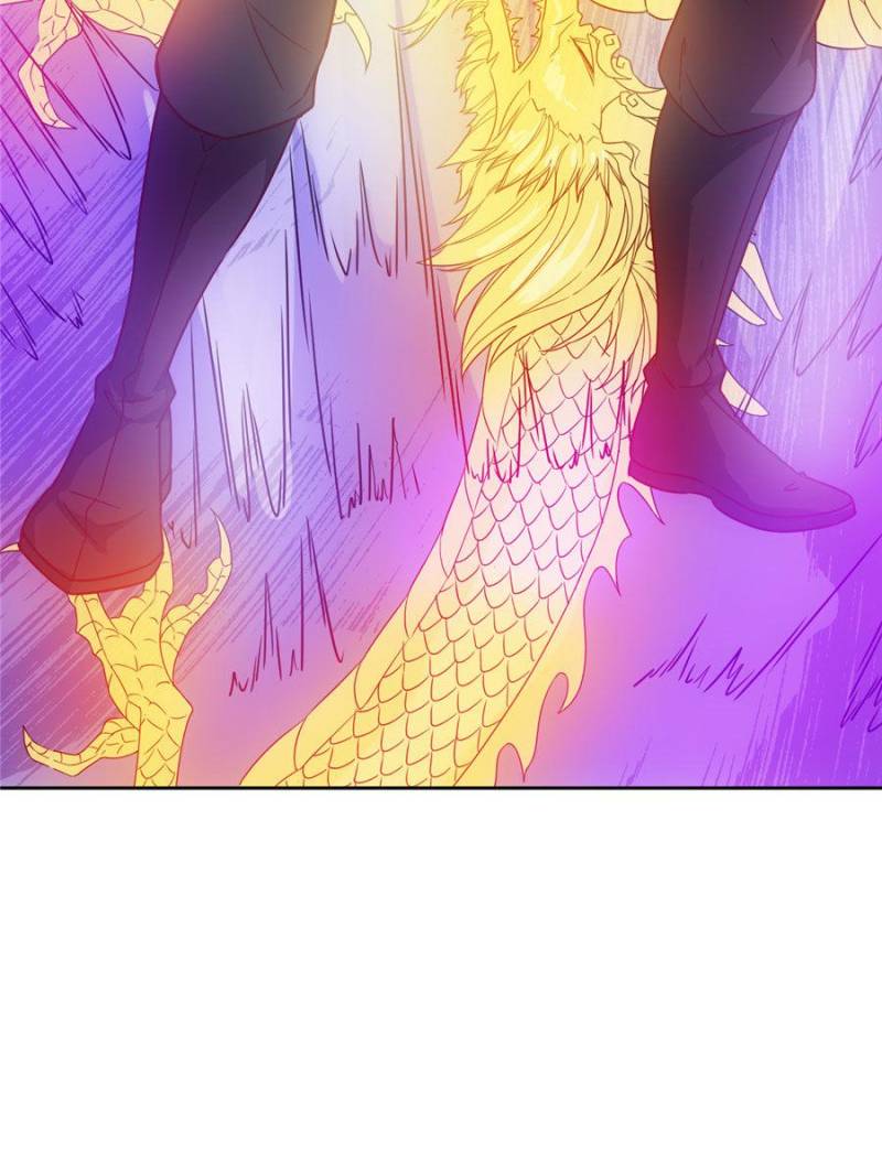 81