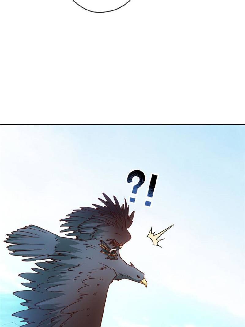 65