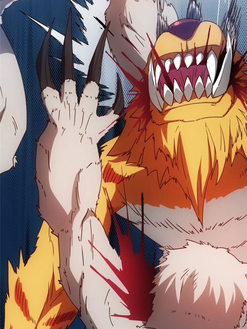 41