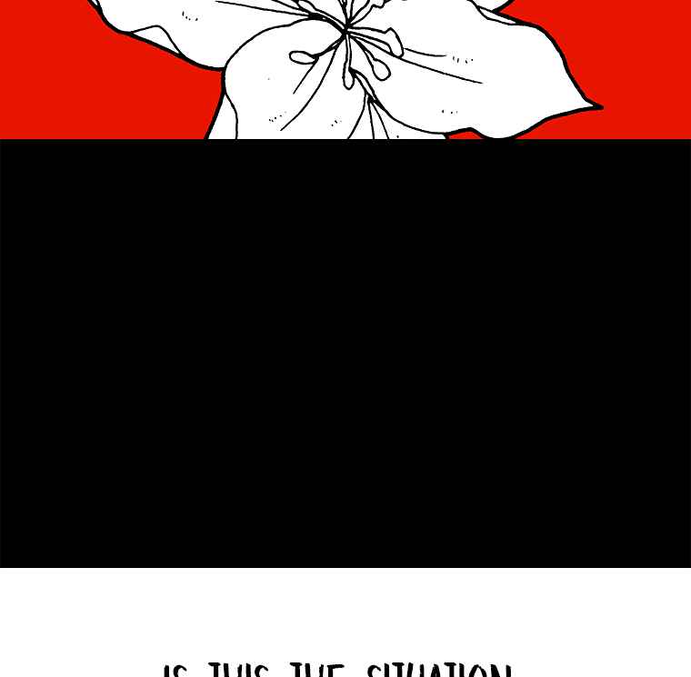 81