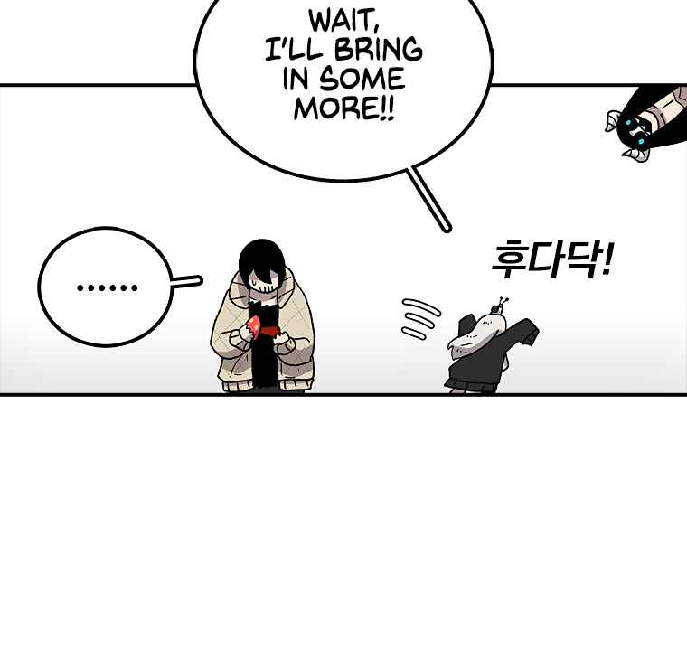 66