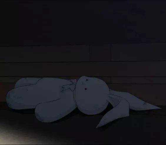 43