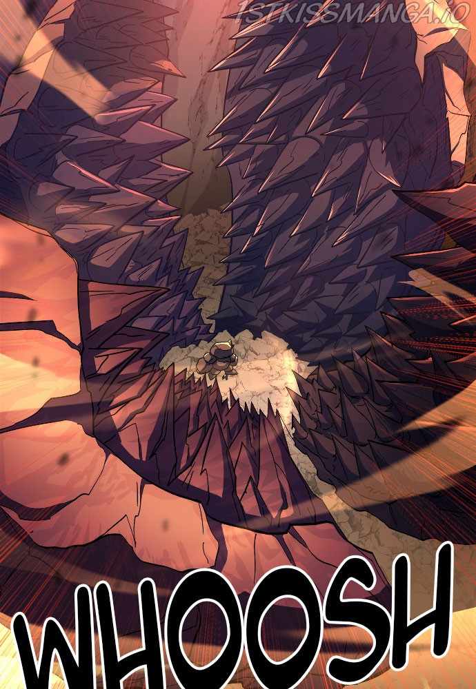 81