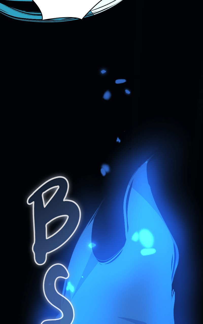 81