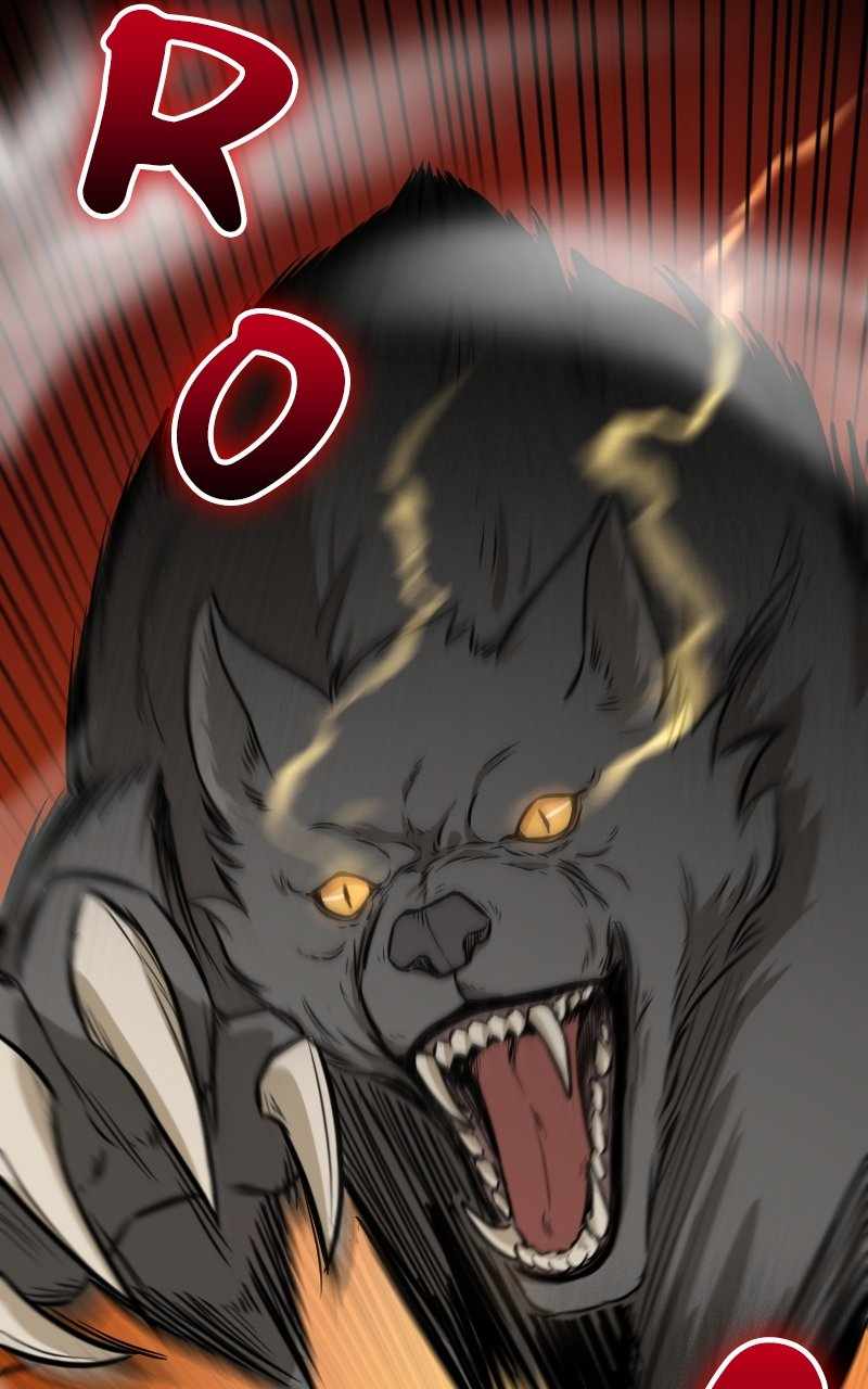 67