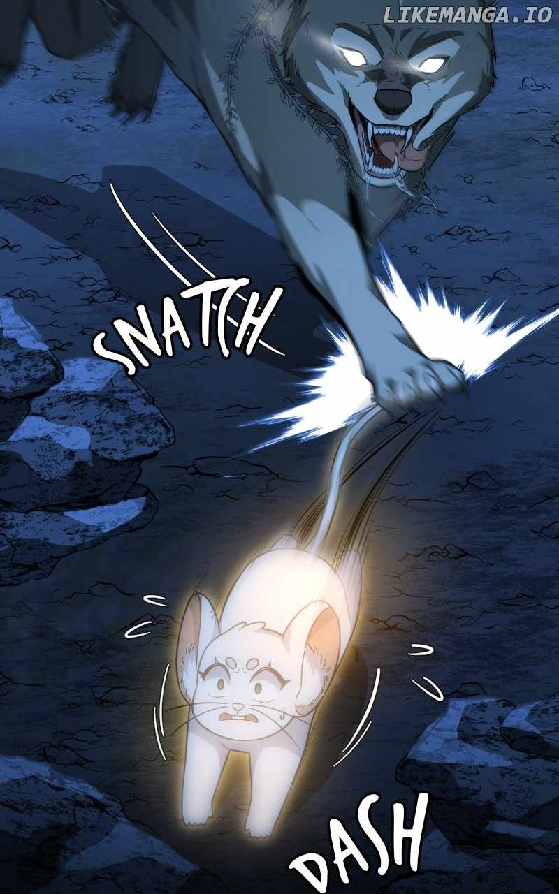 55
