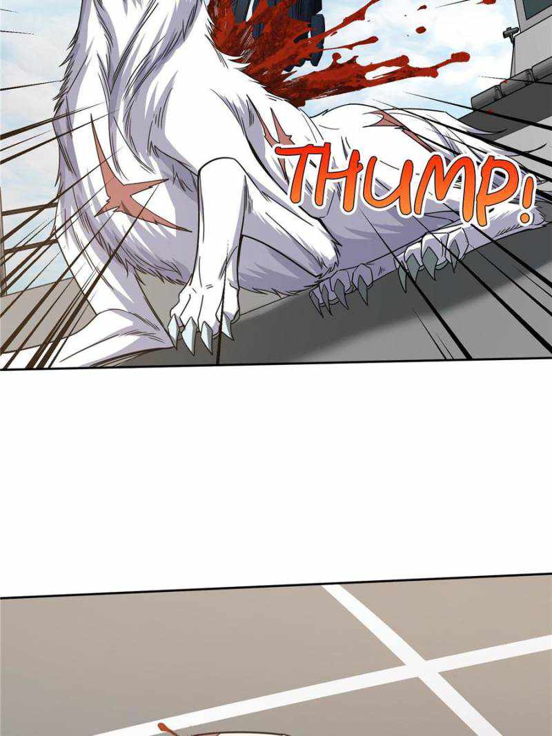 41
