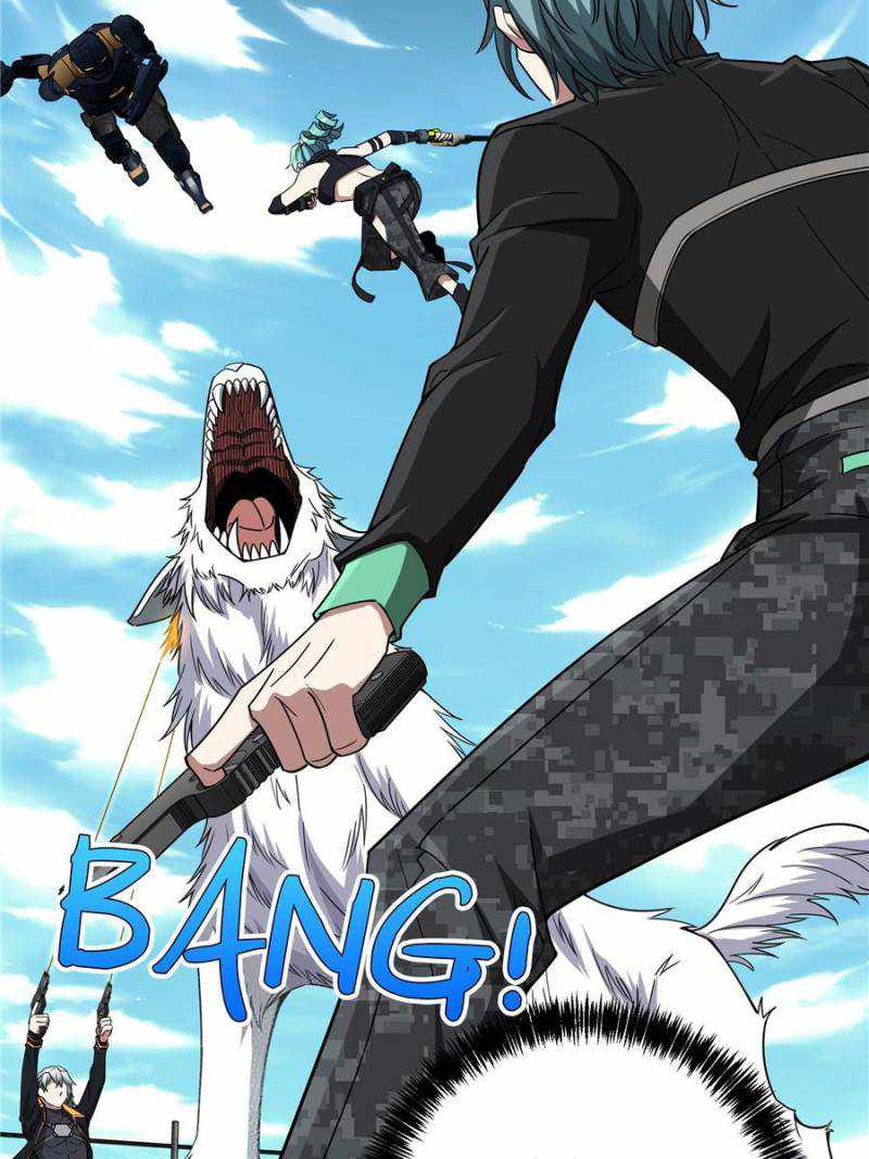 31