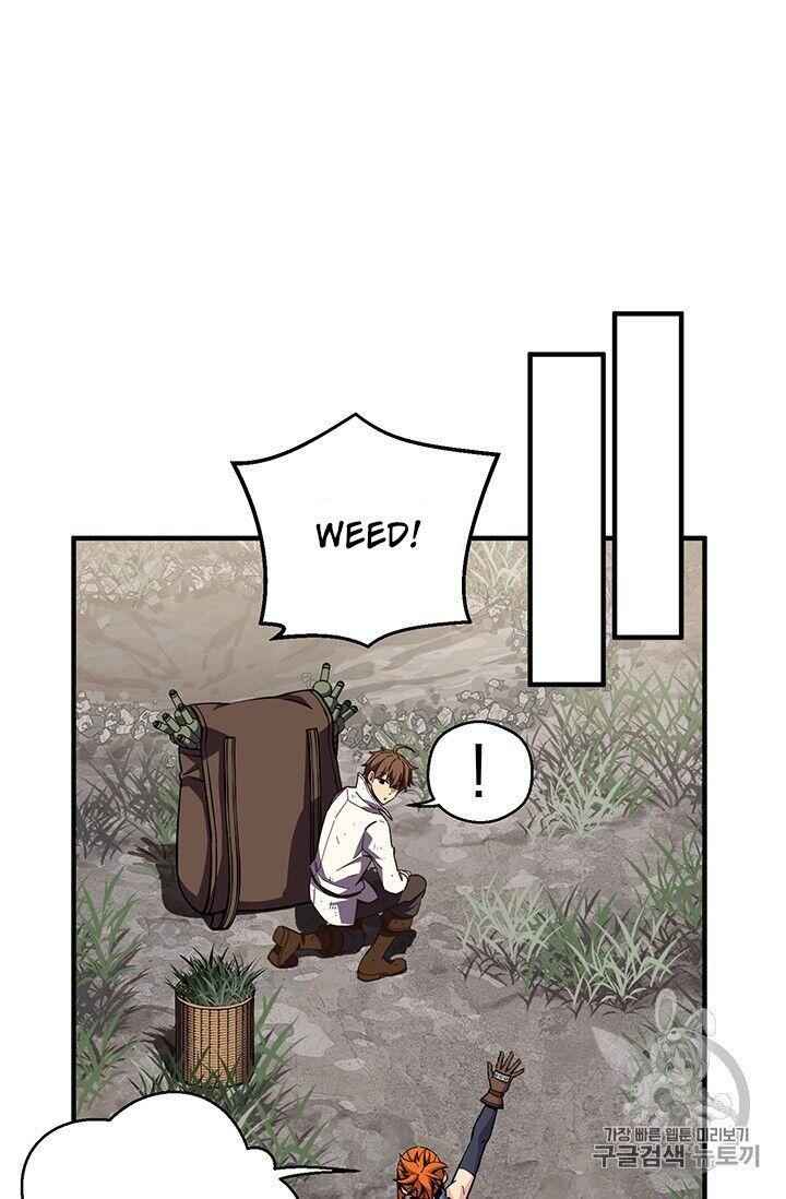 81
