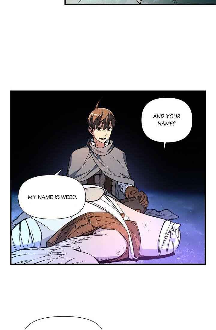 41