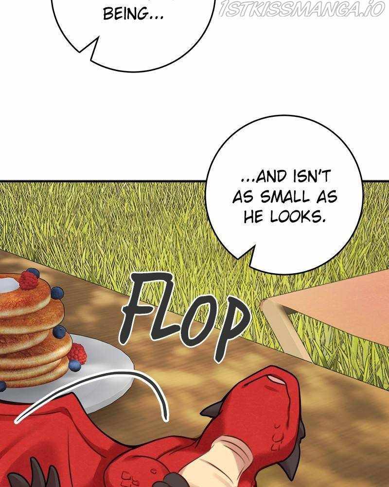 81