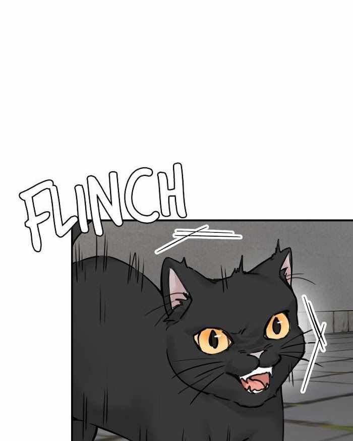 84