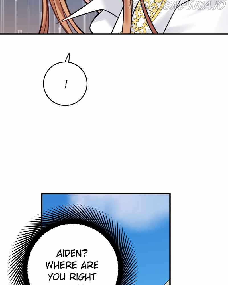 81