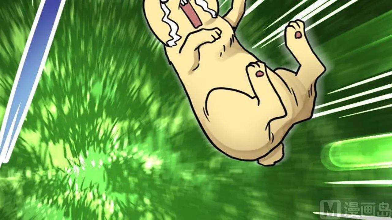 37