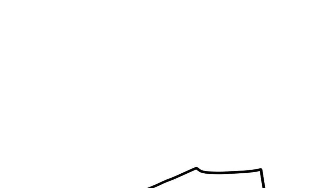 63
