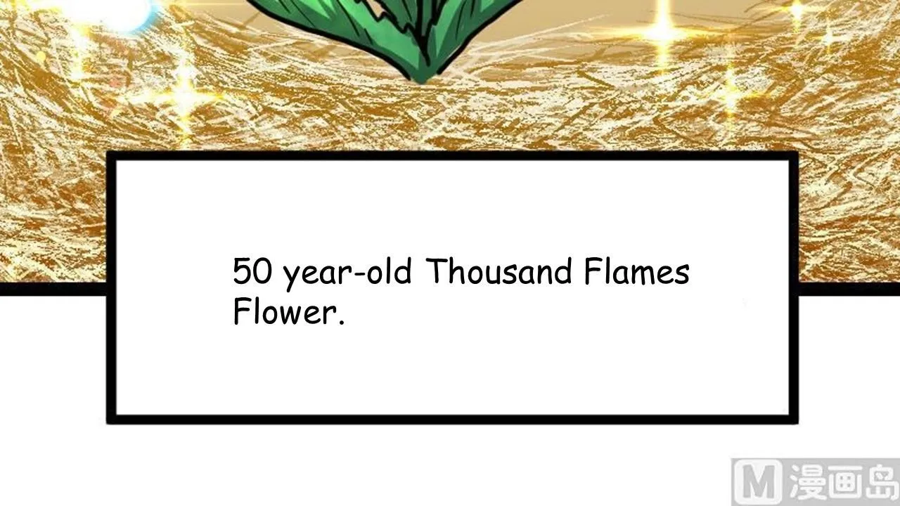 81