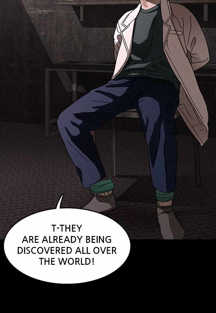 81