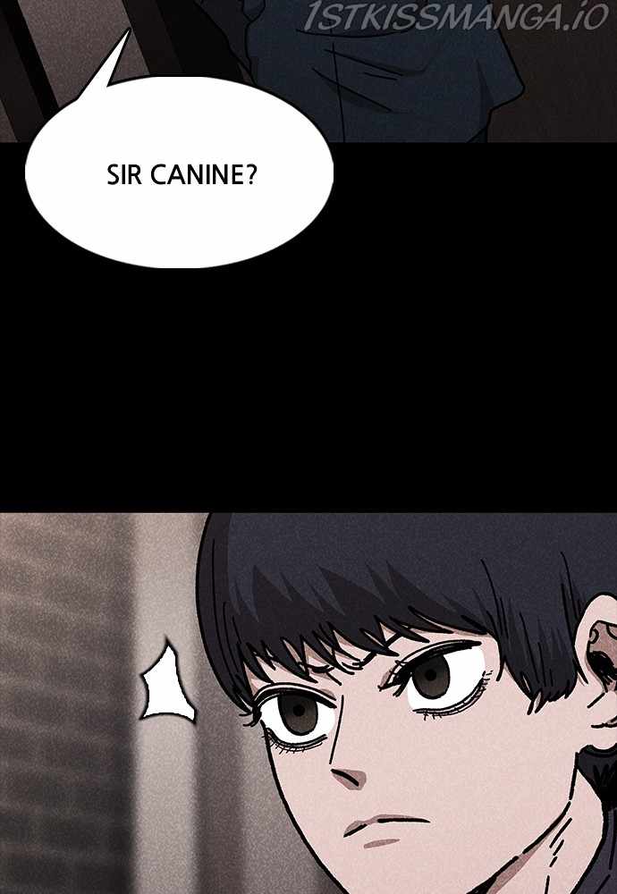 81