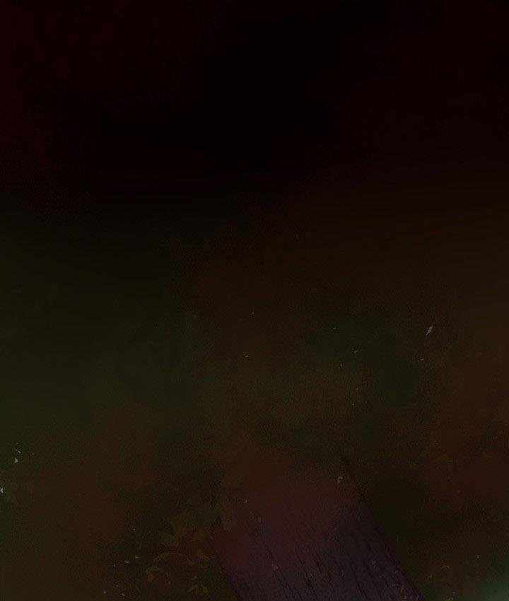 141