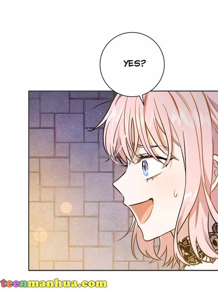 81