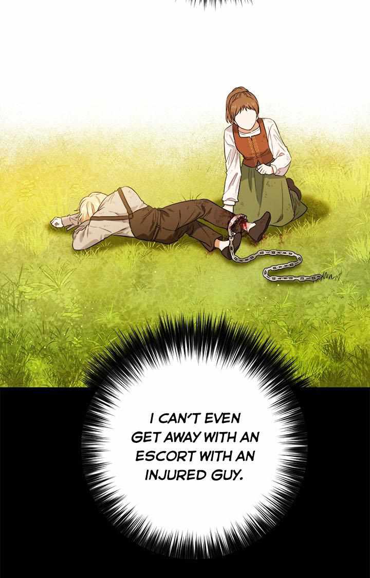 66