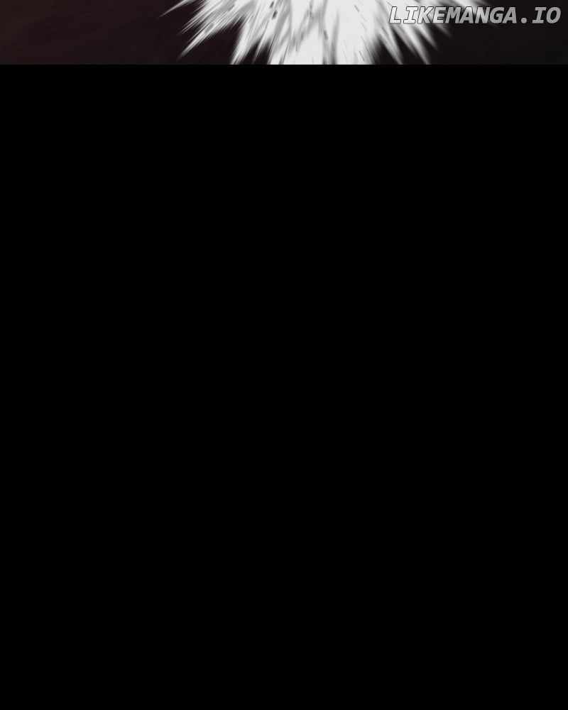 81