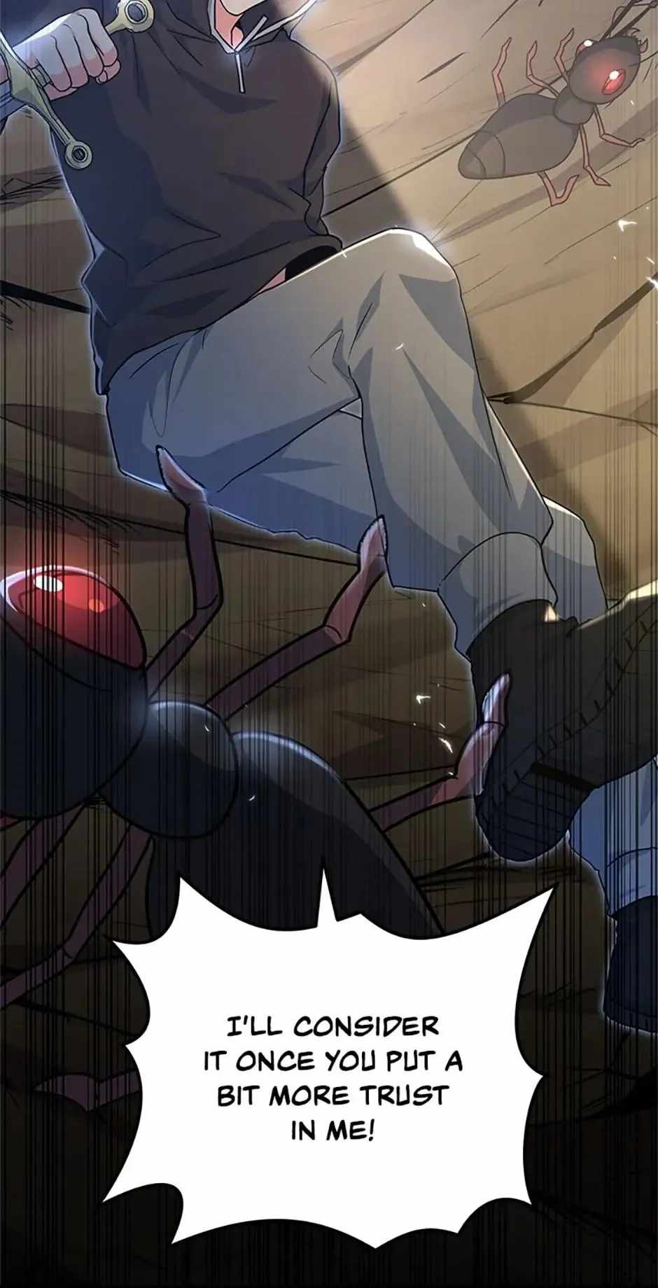 81