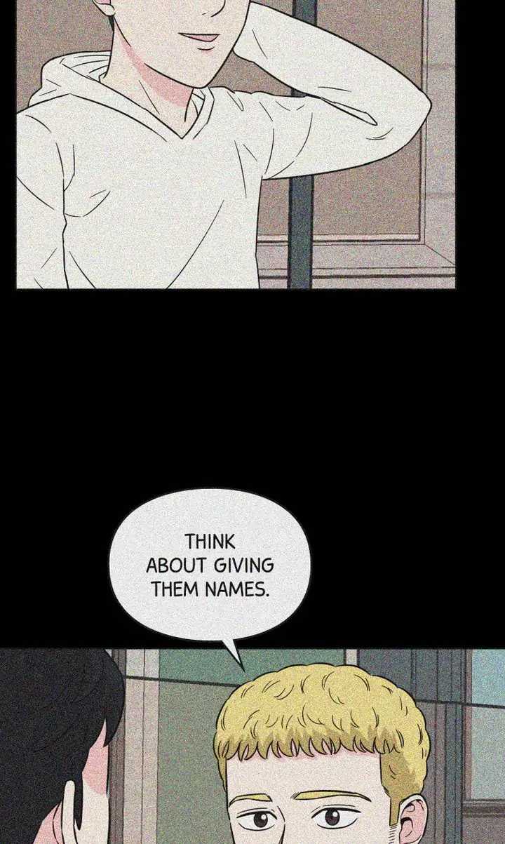 87