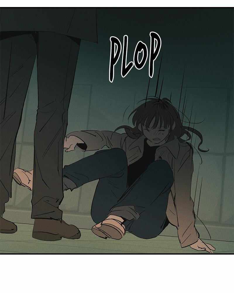 66
