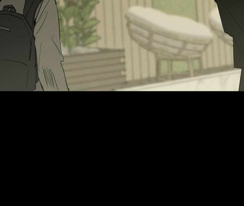 81