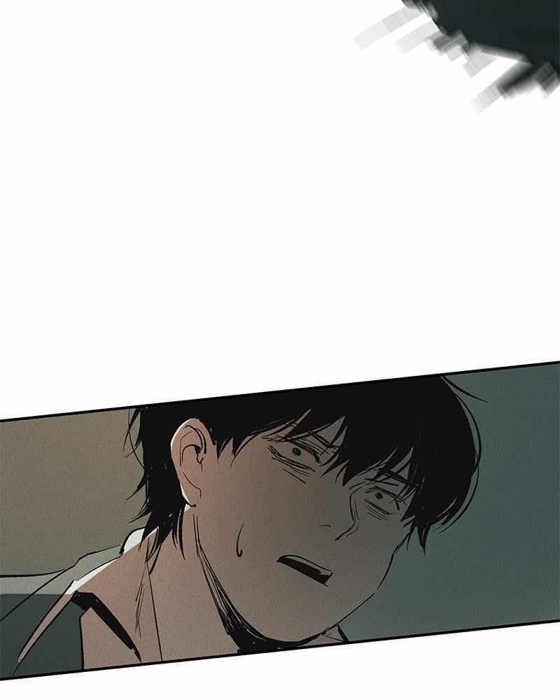81