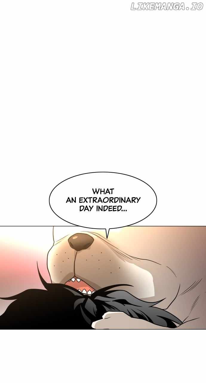 81