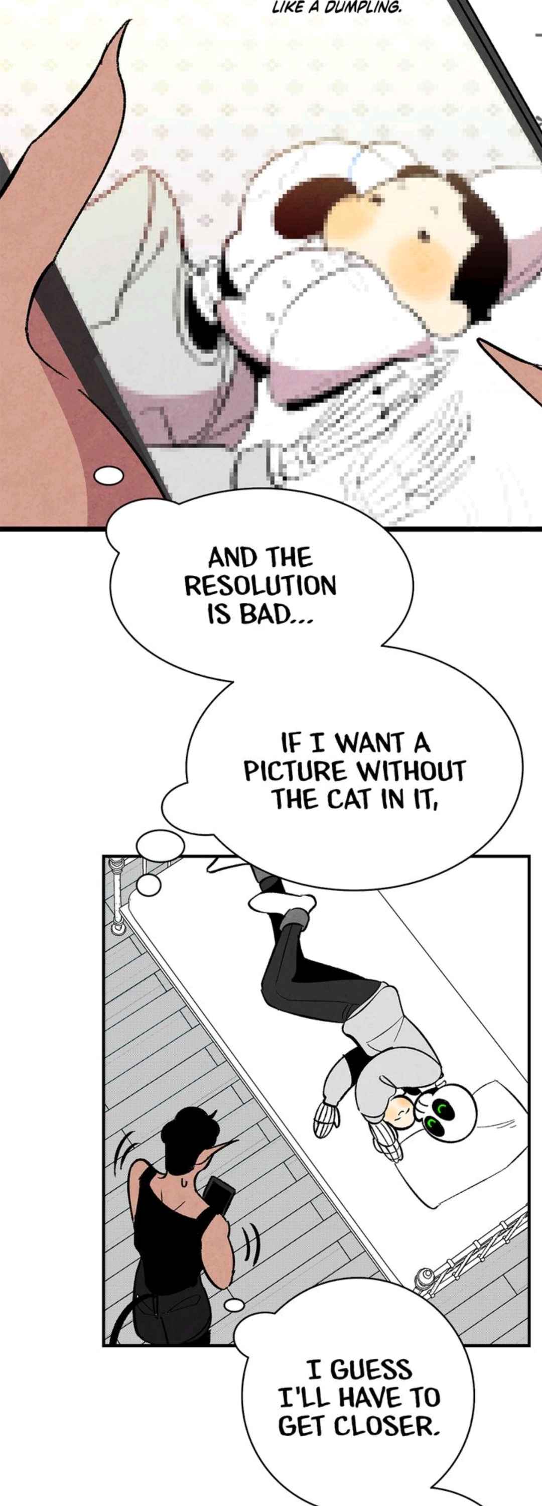 48