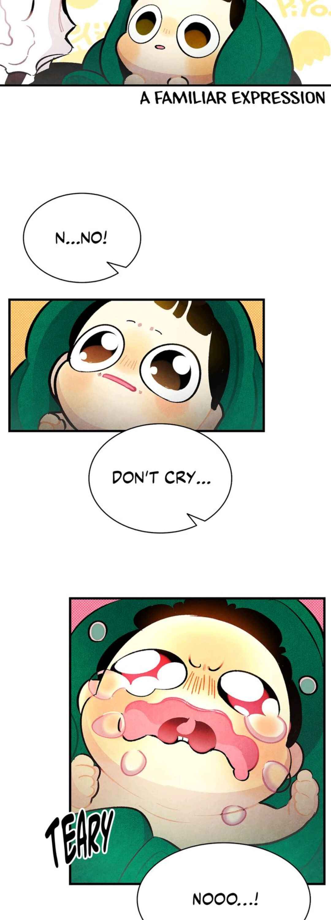 41