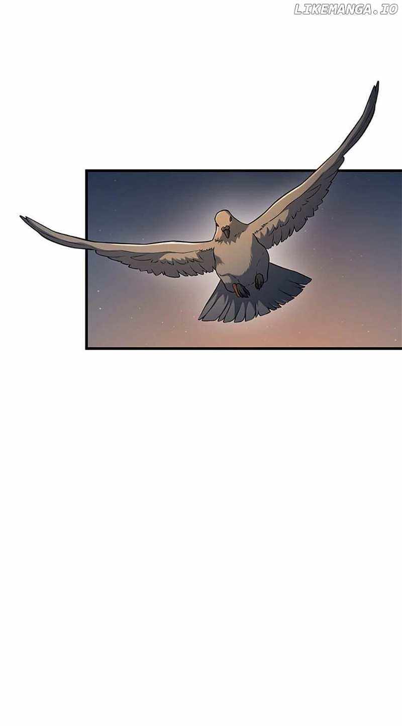 81