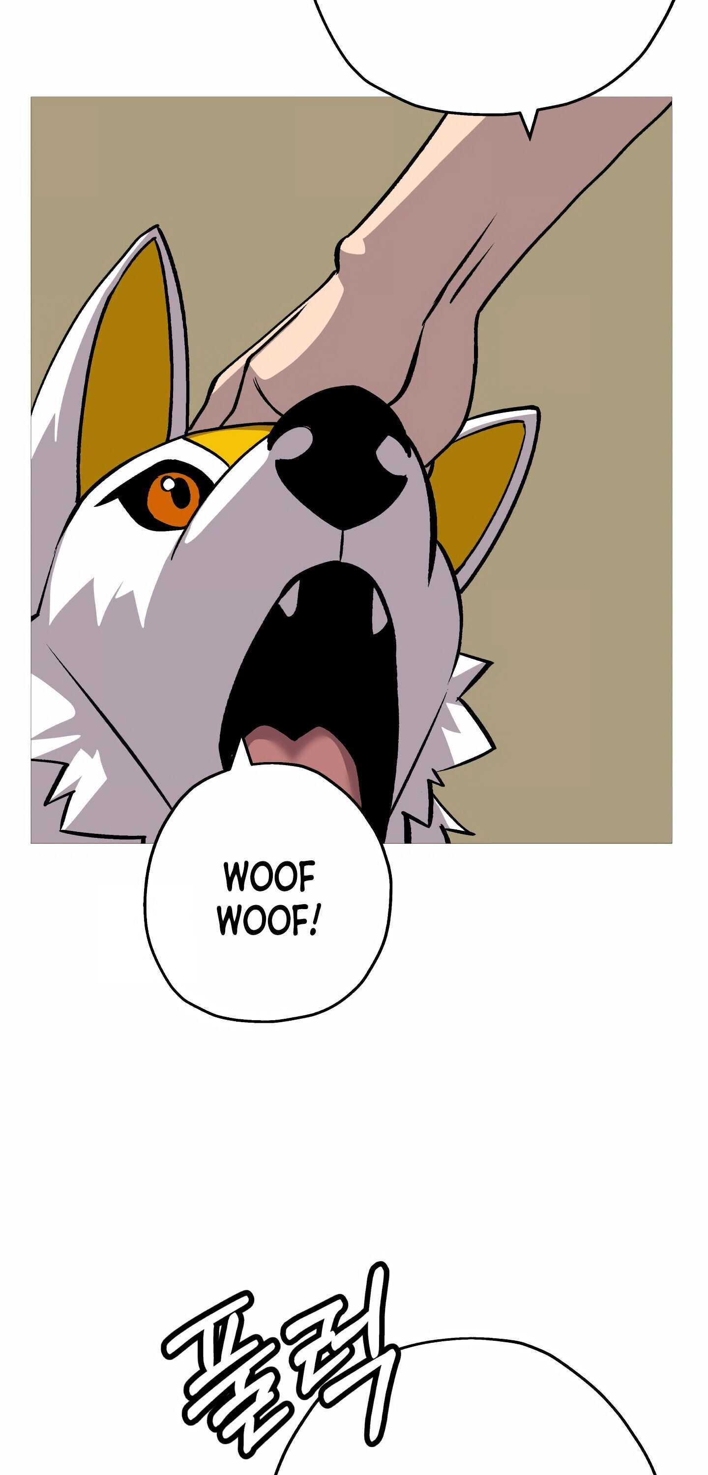 51