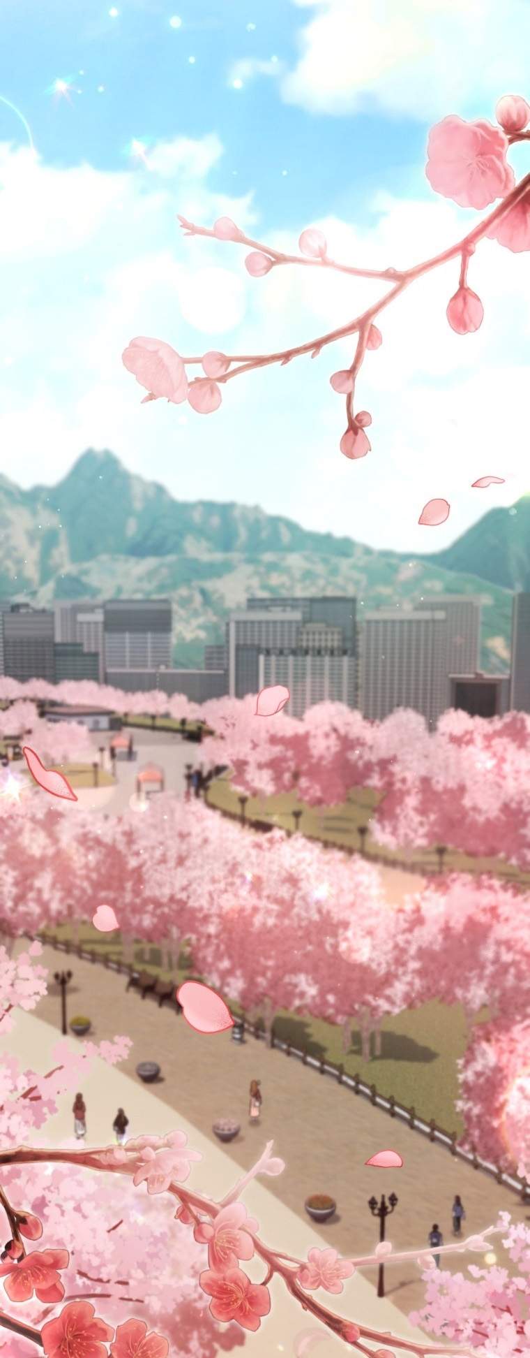 11