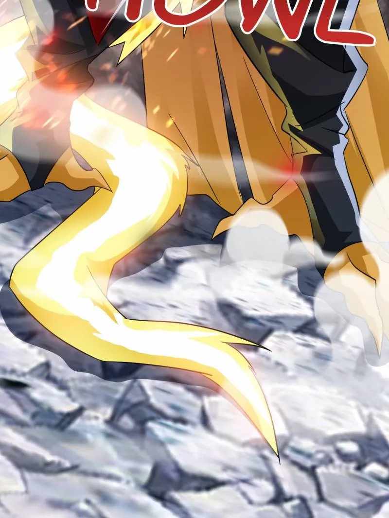 81