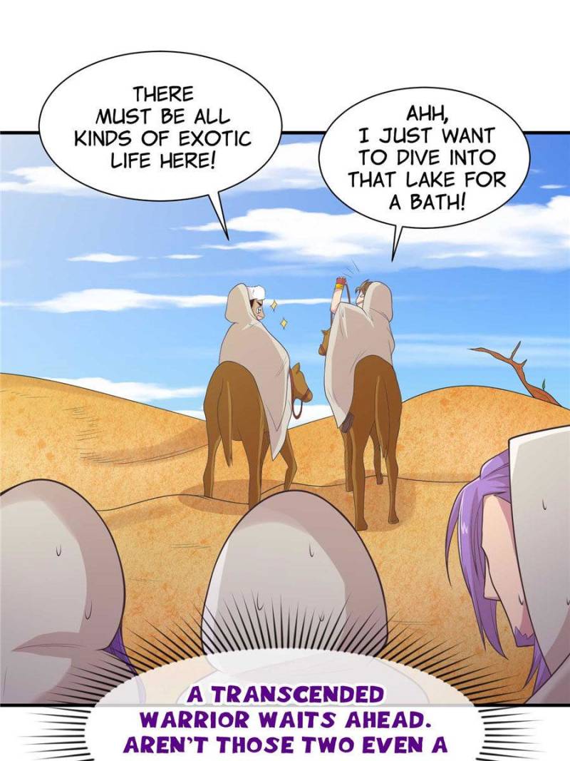 43