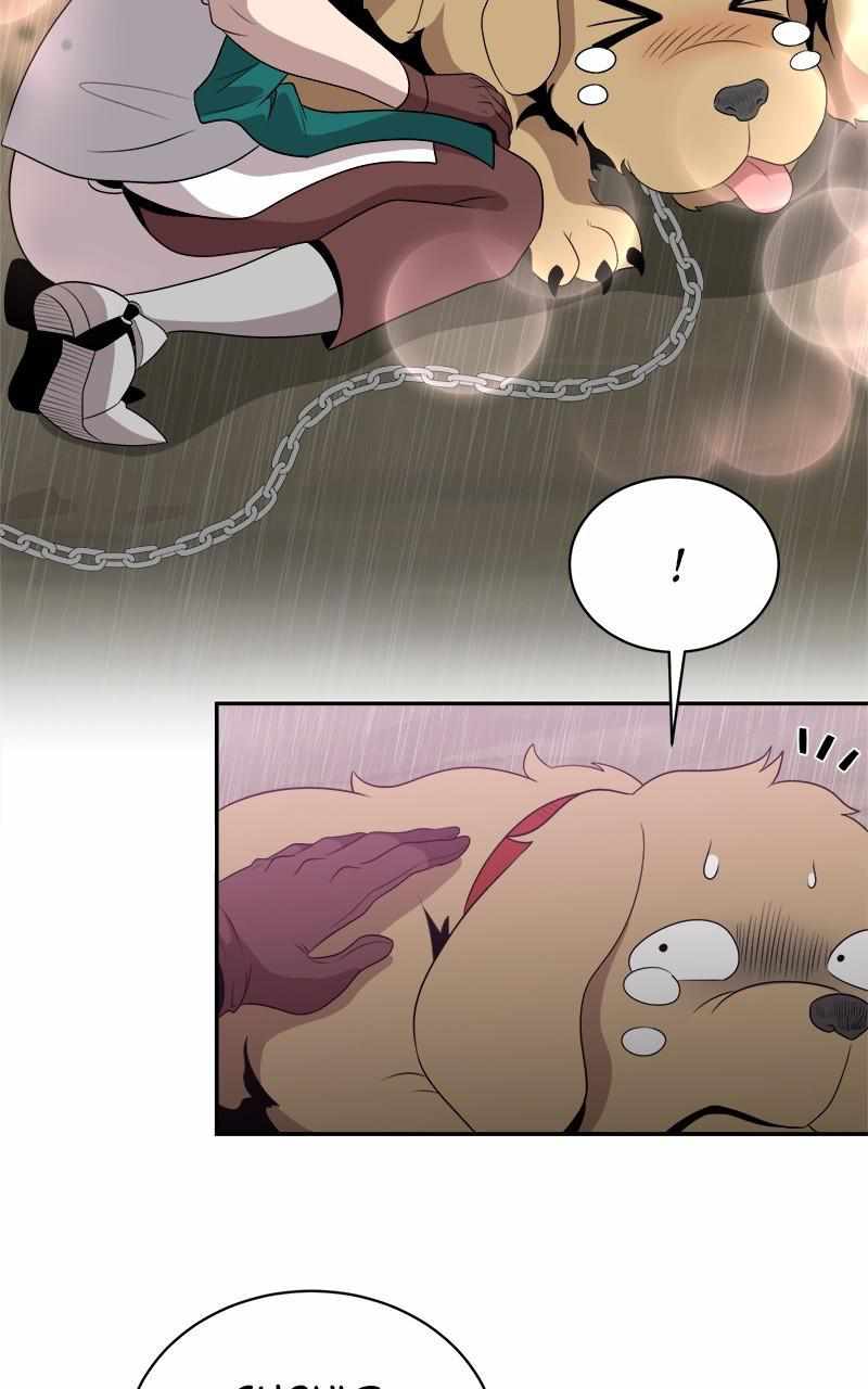 41