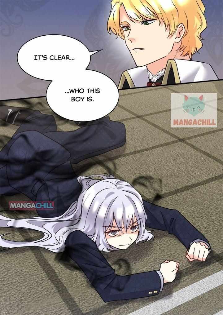 41