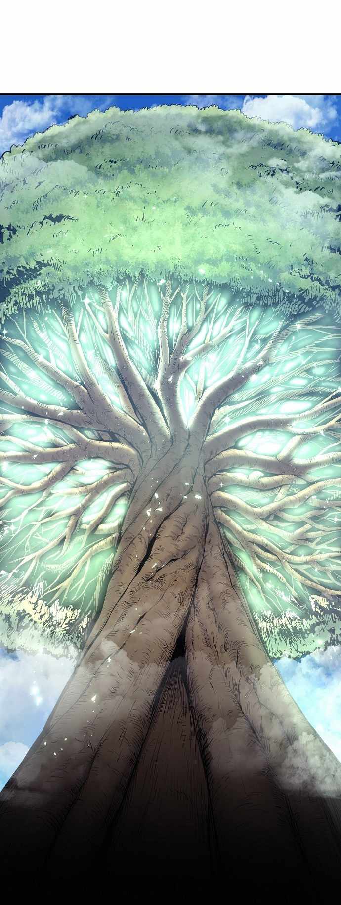 77