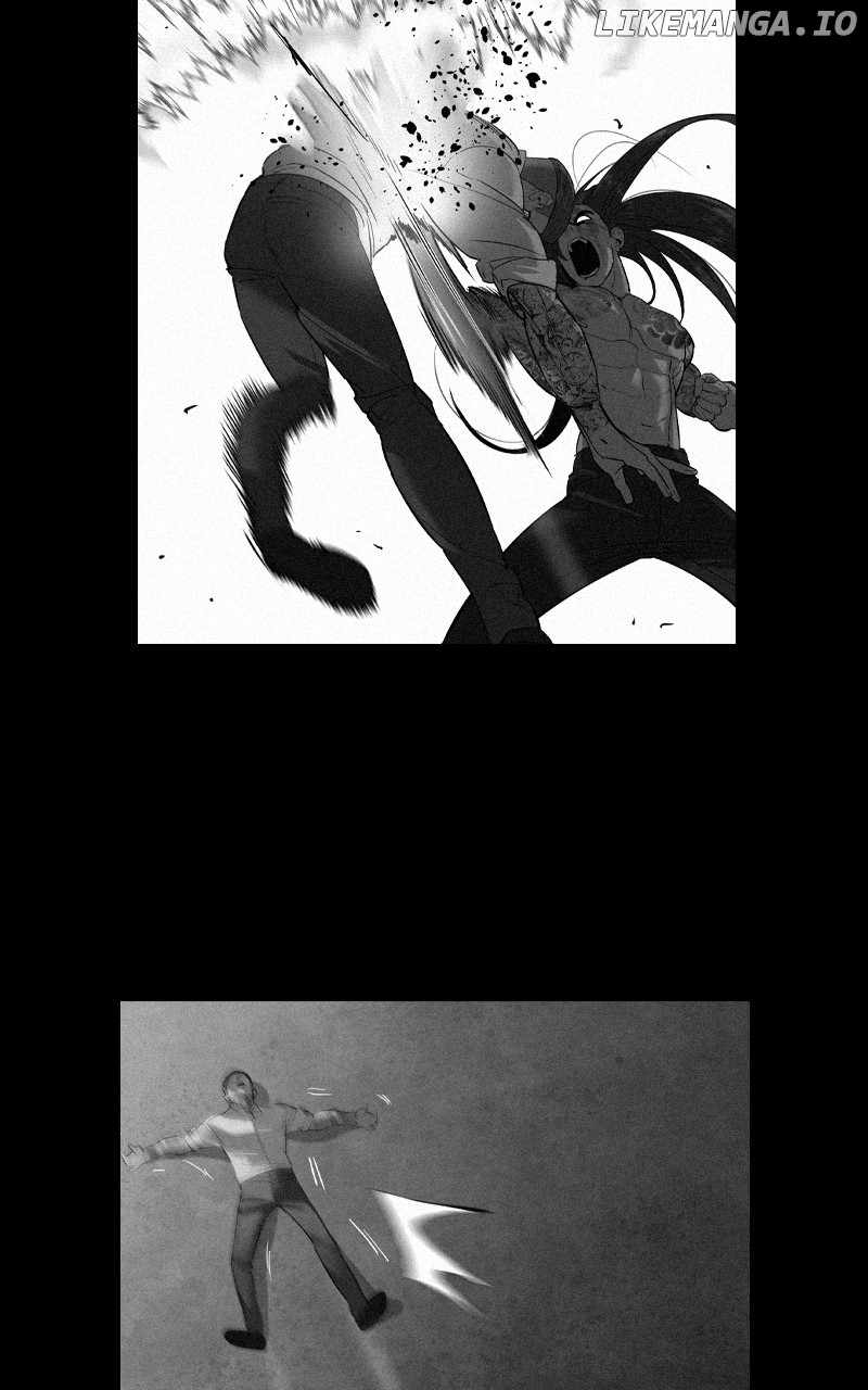 81