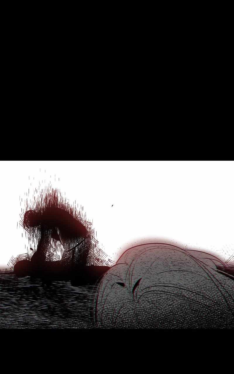 81