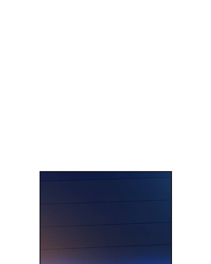 81