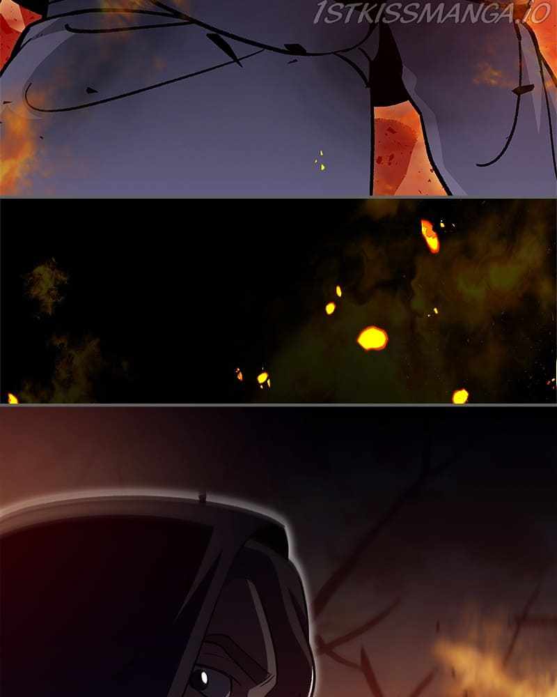 81