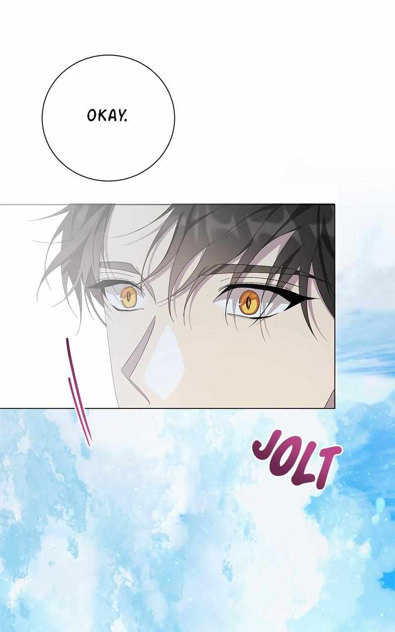 113